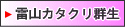 ���R�̑�Q��