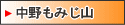 ������݂��R