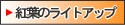 ������݂��̃��C�g�A�b�v