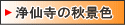 ���X�R��厛�̏H�i�F