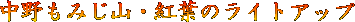 ������݂��̃��C�g�A�b�v�i����_�Ёj