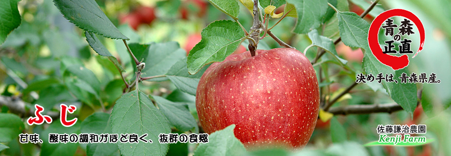 ふじ・青森りんご(佐藤謙治農園)