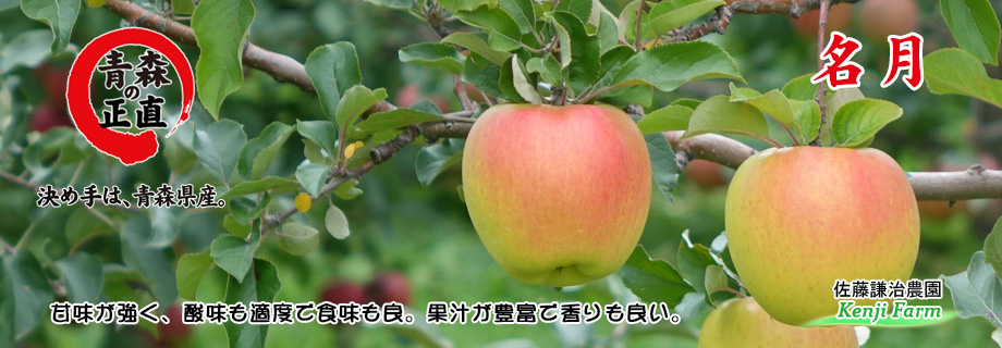 名月(青森りんご):佐藤謙治農園